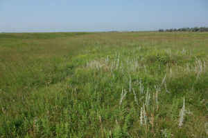 Todd County, South Dakota Landscape